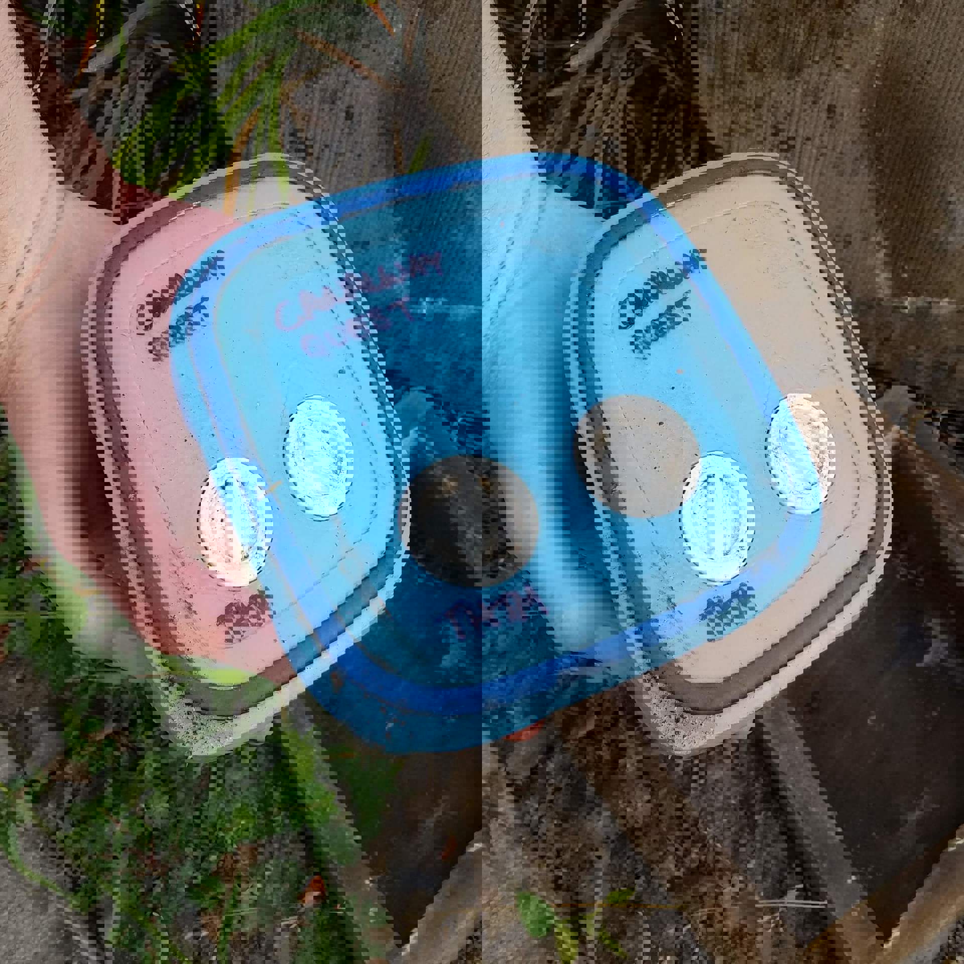 questingbox.jpg
