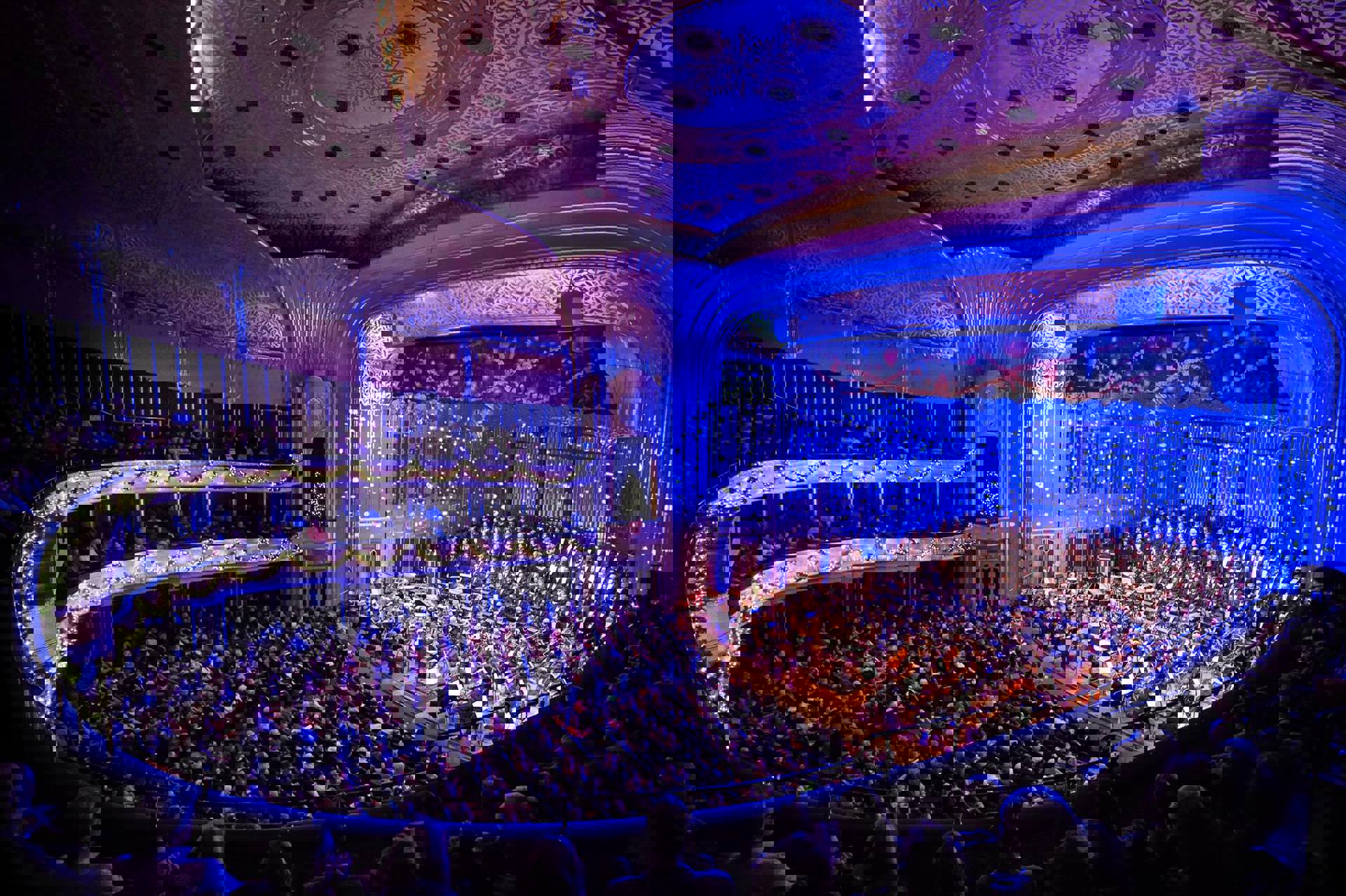 15385346 10154366894631888 6494524830551638568 O
